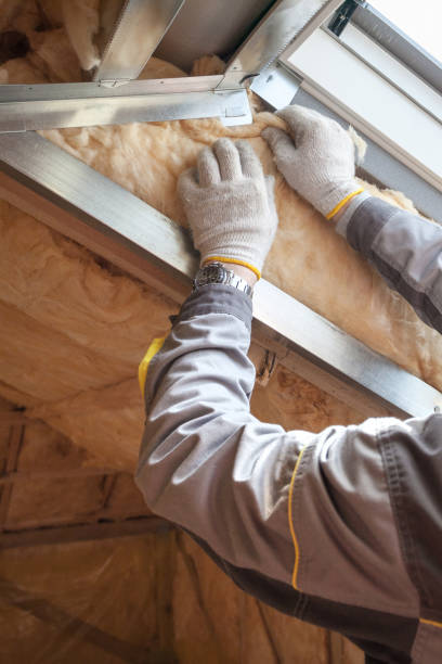 Types of Insulation We Offer in Mullins, SC